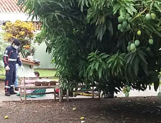 Rapaz com crise de esquizofrenia mata a própria mãe em Dourados