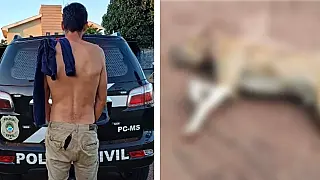 'Me irritava', diz homem suspeito de atirar e matar cachorro em MS