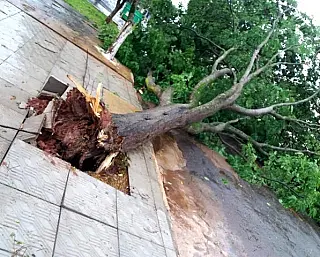 Alerta de chuva forte com granizo já registra estragos no Sul do Estado