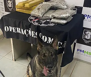 Mulher presa em ônibus com droga que iria pra Londrina