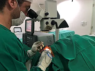 Mais de 80 cirurgias são feitas em três dias no hospital do Governo