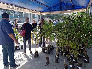 No dia mundial, Dourados discute sustentabilidade