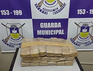 Guarda Municipal flagra jovem de SC com tabletes de maconha