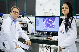 Fundect capta R$ 6 milhões para estudar projetos ao SUS