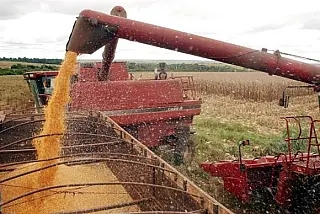 Mato Grosso do Sul é o 8º maior produtor agrícola do Brasil, segundo IBGE