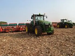 Dourados ultrapassa 80% no plantio da soja