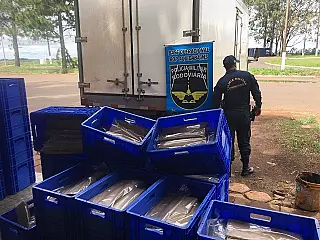 Polícia apreende mais de 2 mil quilos de maconha em carregamento de peixe