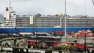 Justiça autoriza navio com 25 mil cabeças de bois a deixar Porto de Santos