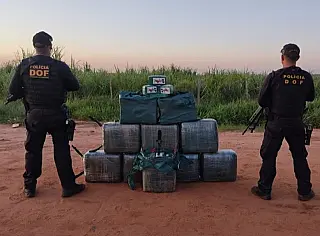 MS apreende mais 82% de cocaína