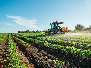 BNDES amplia financiamento para cooperativas agropecuárias
