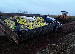 Polícia encontra 5 toneladas de maconha abandonada em estrada vicinal