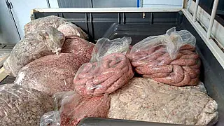 Produtos impróprios para consumo são apreendidos no interior de MS
