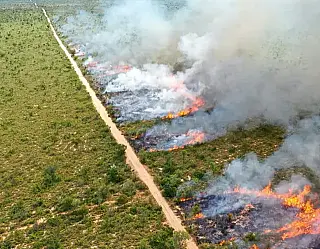 Estado se antecipa aos riscos de incêndios florestais