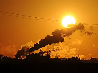 Mato Grosso do Sul se firma como o 4º maior produtor de cana-de-açúcar do Brasil