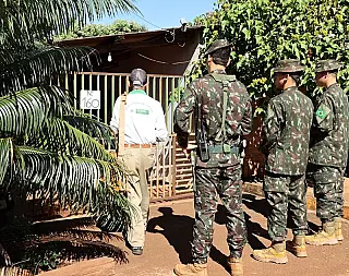 1.571 imóveis são vistoriados em 10 horas em Dourados