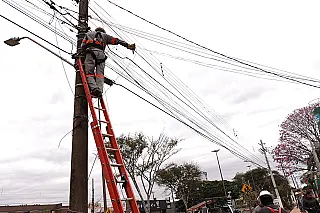 Projeto 'Poste Limpo" começar a remover 'lixo da fiação'