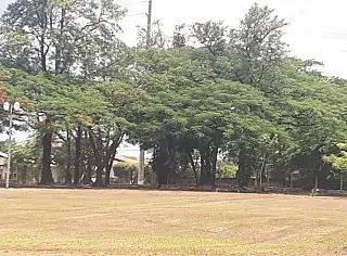 Prefeitura limpa parques