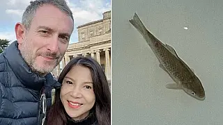 Após 48h, carpa sobrevive em freezer e é batizada de Lázaro