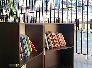 Biblioteca itinerante estimula leitura