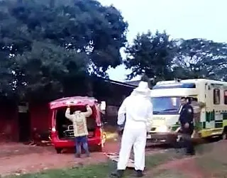 Homem morre após ser atacado por enxame de abelhas em Pedro Juan Caballero