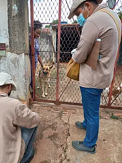 Campanha de vacinação antirrábica continua de forma itinerante pelos bairros