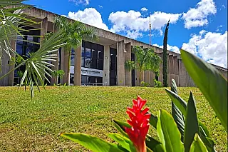 Assembleia dedica semana a agenda sobre mulher