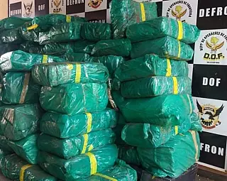 MS apreende uma tonelada por dia de maconha