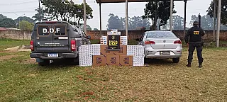 DOF apreende cigarro contrabandeado na Fronteira