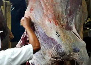 Exportação da carne bovina cresce mais de 60% nos primeiros seis meses em MS
