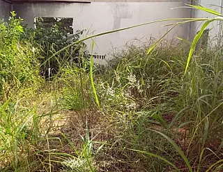 Prefeitura promove limpeza na área da Guarda Mirim em Dourados