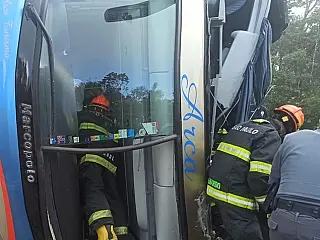 Ônibus de turismo tomba e mata seis pessoas