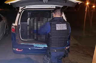 Guarda prende dois agressores por violência doméstica
