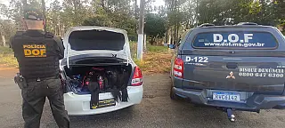 DOF apreende 150 quilos de cabelo humano que viria para Dourados