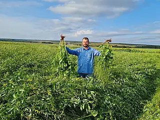 Copasul apresenta opções de cultivo para áreas irrigadas