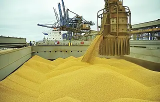 Soja e milho elevam desempenho da balança comercial
