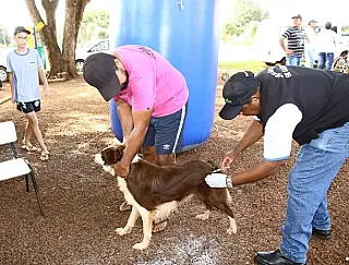 Vacinação antirrábica concentra até sexta-feira na região do Água Boa