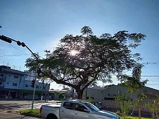 Umidade baixíssima, sol forte e sem previsão de chuva, alerta douradenses