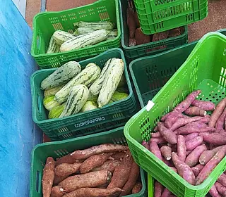 Entidades são beneficiadas com alimentos pela Prefeitura
