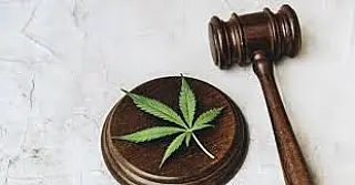STF fixa em 40 gramas a quantidade de maconha para diferenciar usuário de traficante