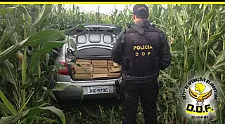 DOF apreende veículo com 643 quilos de maconha