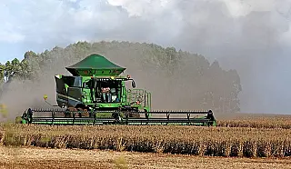 Economia de MS teve a maior taxa de crescimento do país em 2020, ano de pandemia