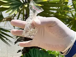 Dengue e Chikungunya registram mortes em Dourados