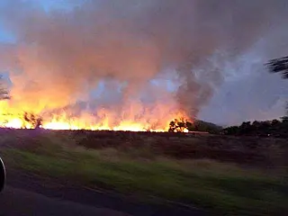 Incêndio em reserva natural destruiu o equivalente a 22 campos de futebol