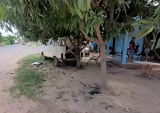 Douradense foi visitar amigos em Murtinho e morreu atropelado