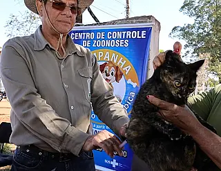 CCZ reforça vacinação em animais nos bairros