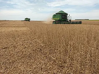 Região Sul do Estado é onde se colheu menos soja até agora
