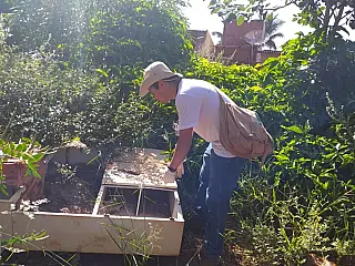 Prefeitura reforça alerta de combate à dengue com chuvas constantes