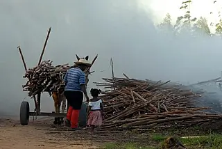 Registrado aumento de trabalho infantil entre crianças de 5 a 9 anos no país