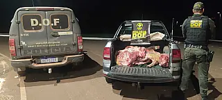 DOF prende quatro pessoas por furto de gado em Bela Vista