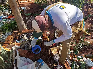 Estado chega a quase 13 mil casos de chikungunya